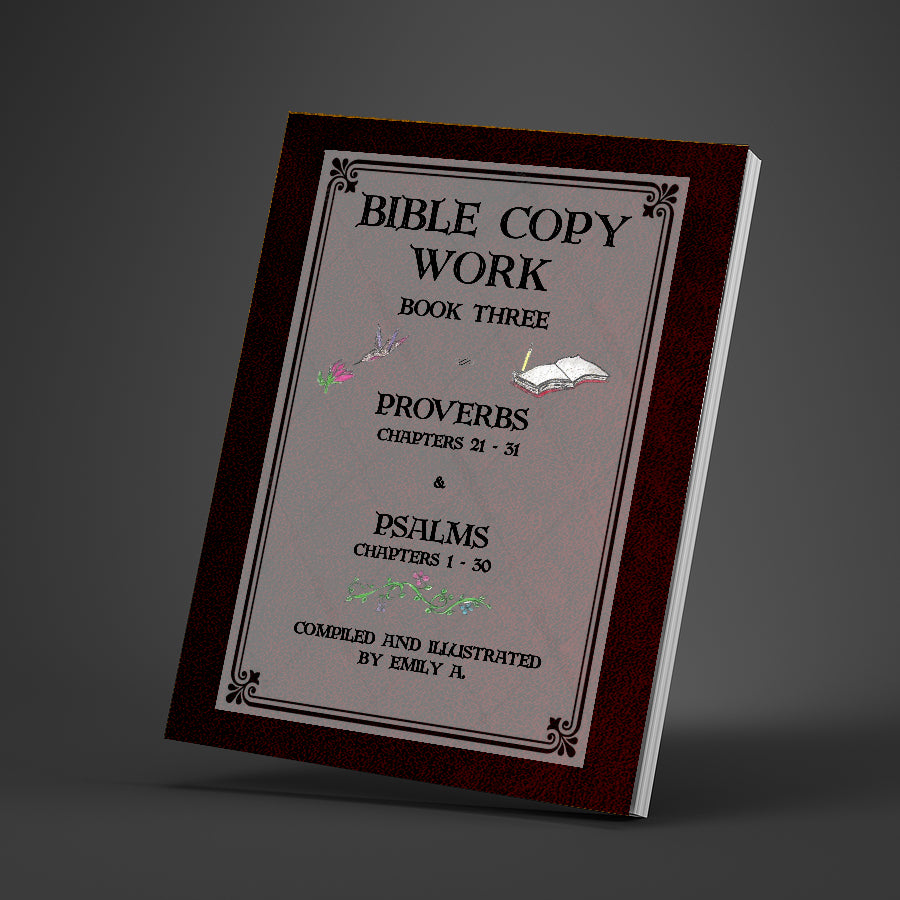 Bible Copy Work Book 3