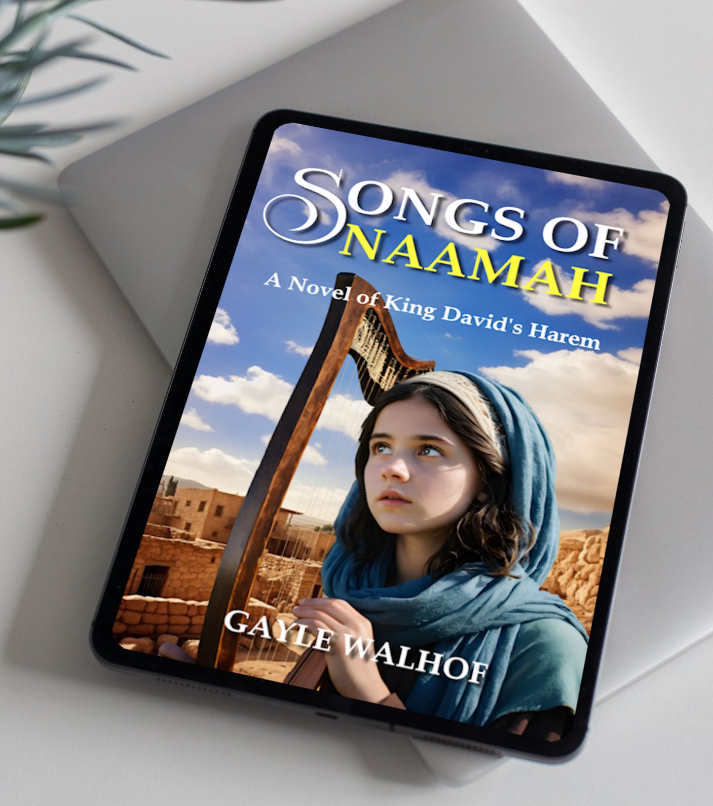 Songs of Naamah: A Christian Biblical Historical eBook