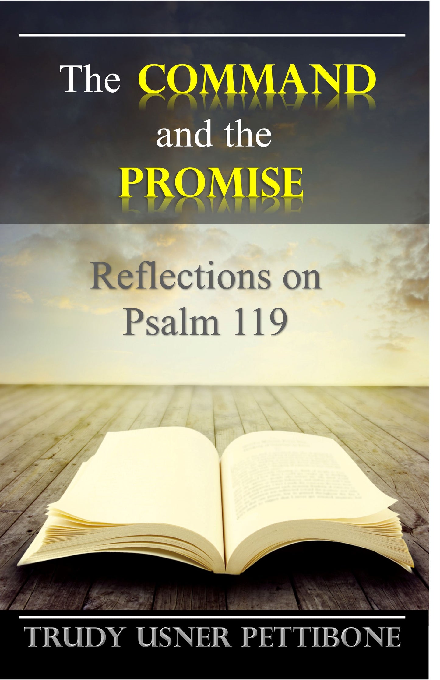 The Command and the Promise