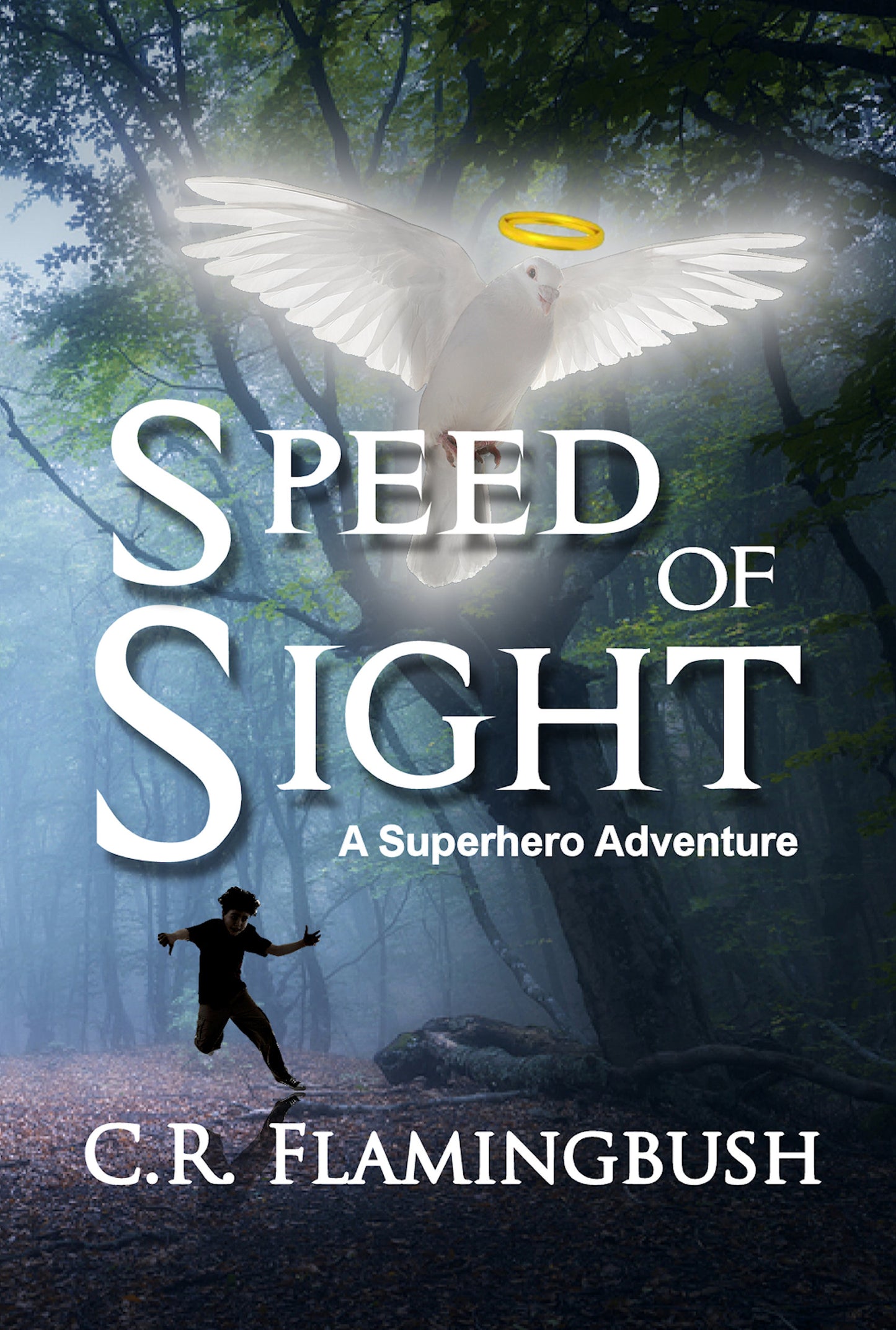 Speed of Sight
