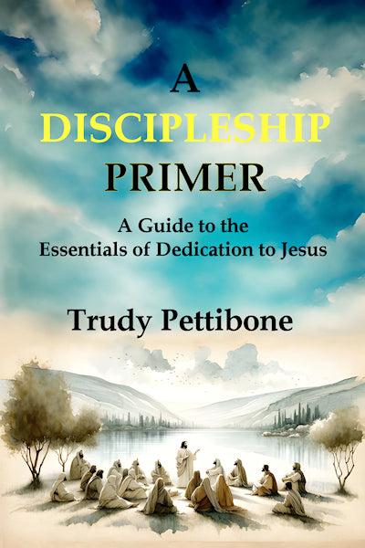 A Discipleship Primer