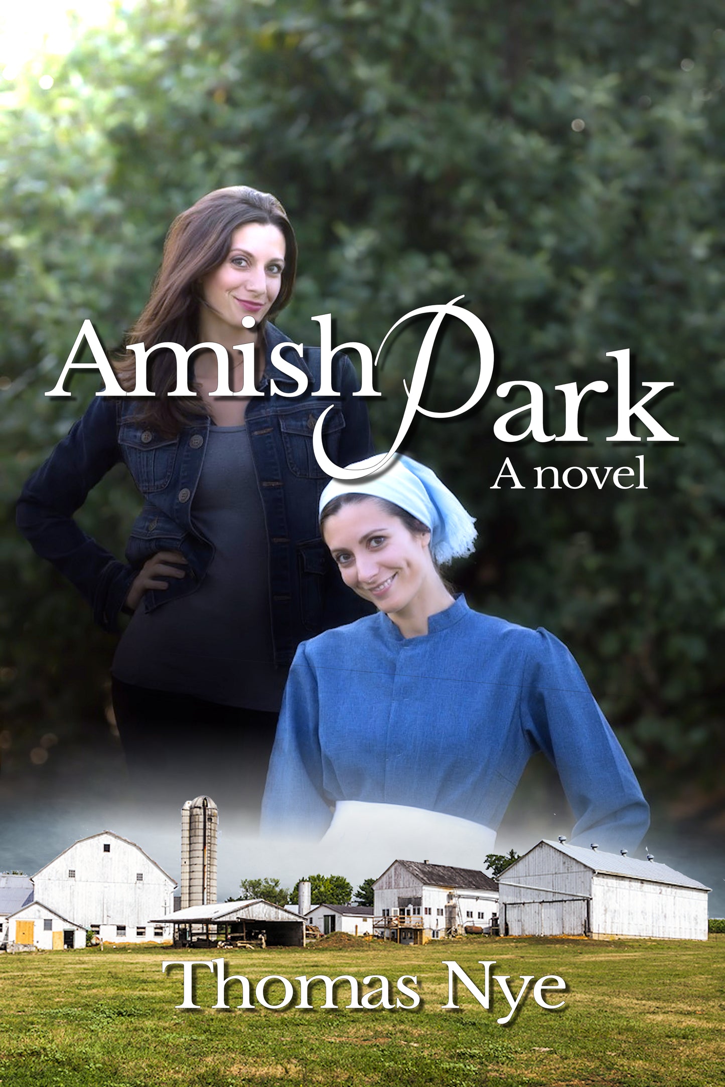 Amish Park-A Novel